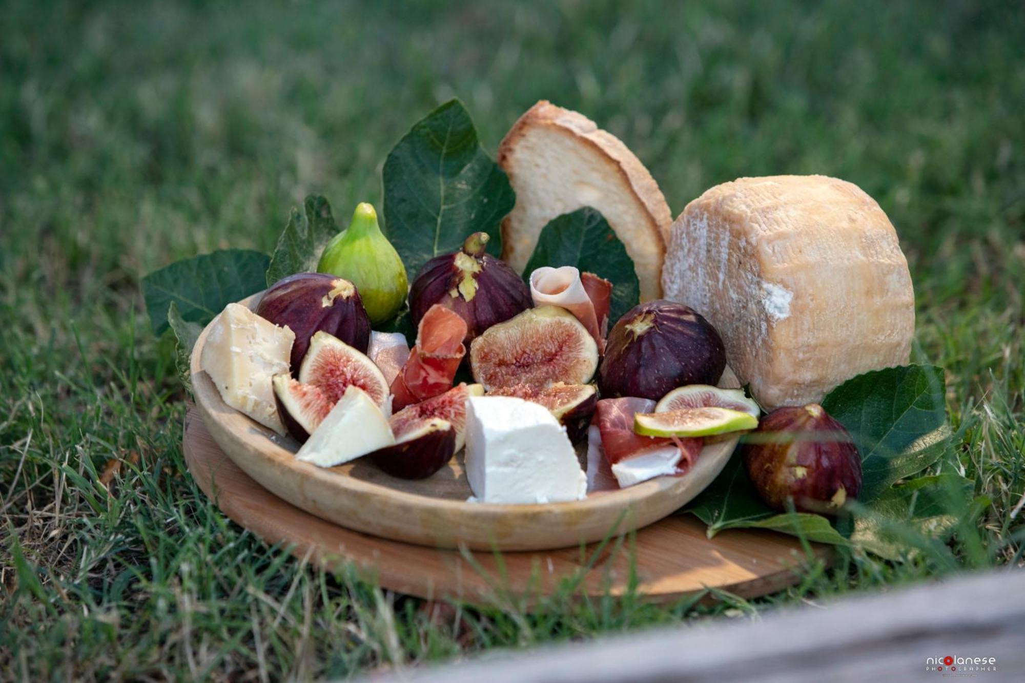 Agriturismo Terra E Sapori Campodipietra Luaran gambar