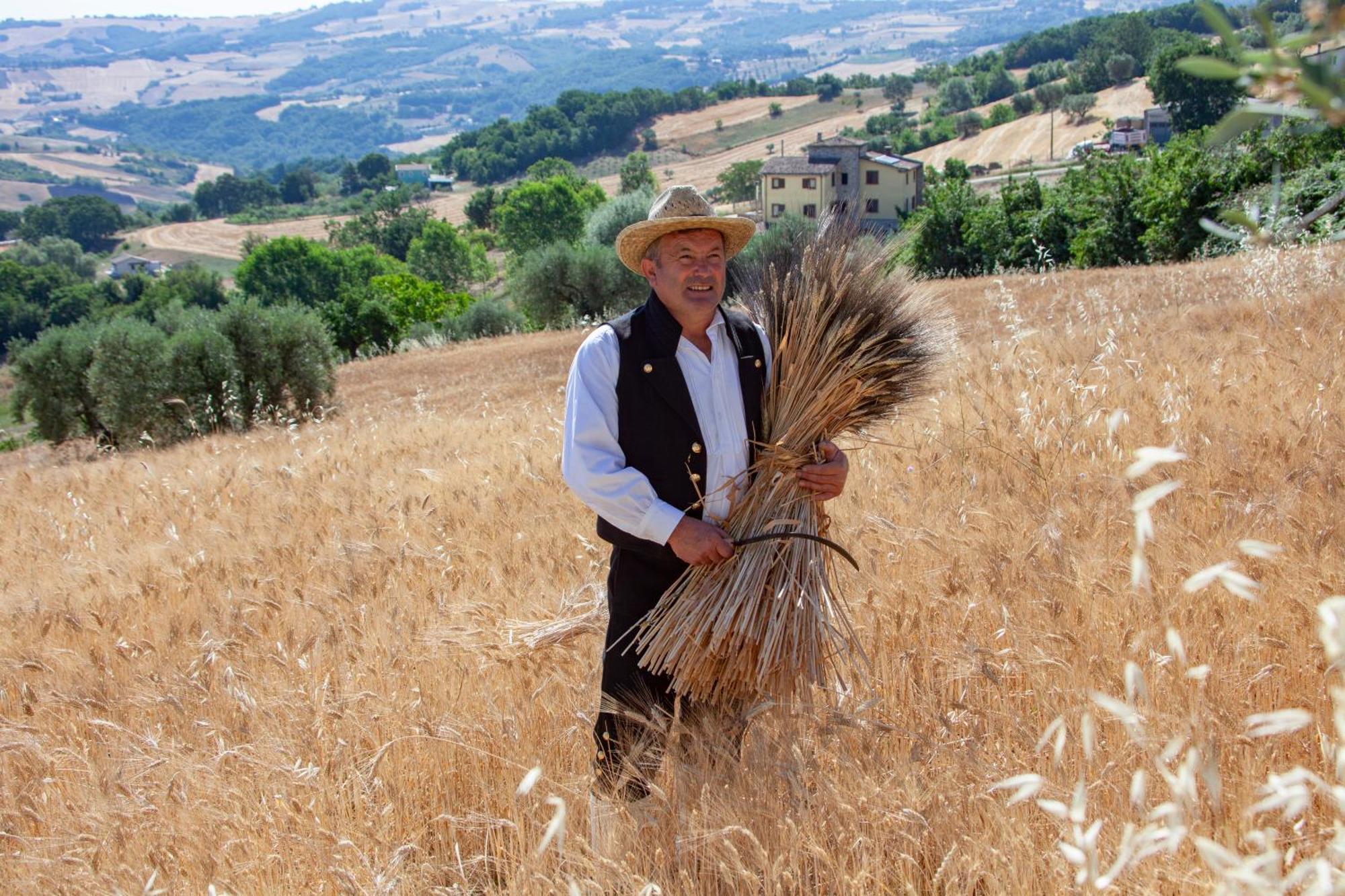Agriturismo Terra E Sapori Campodipietra Luaran gambar