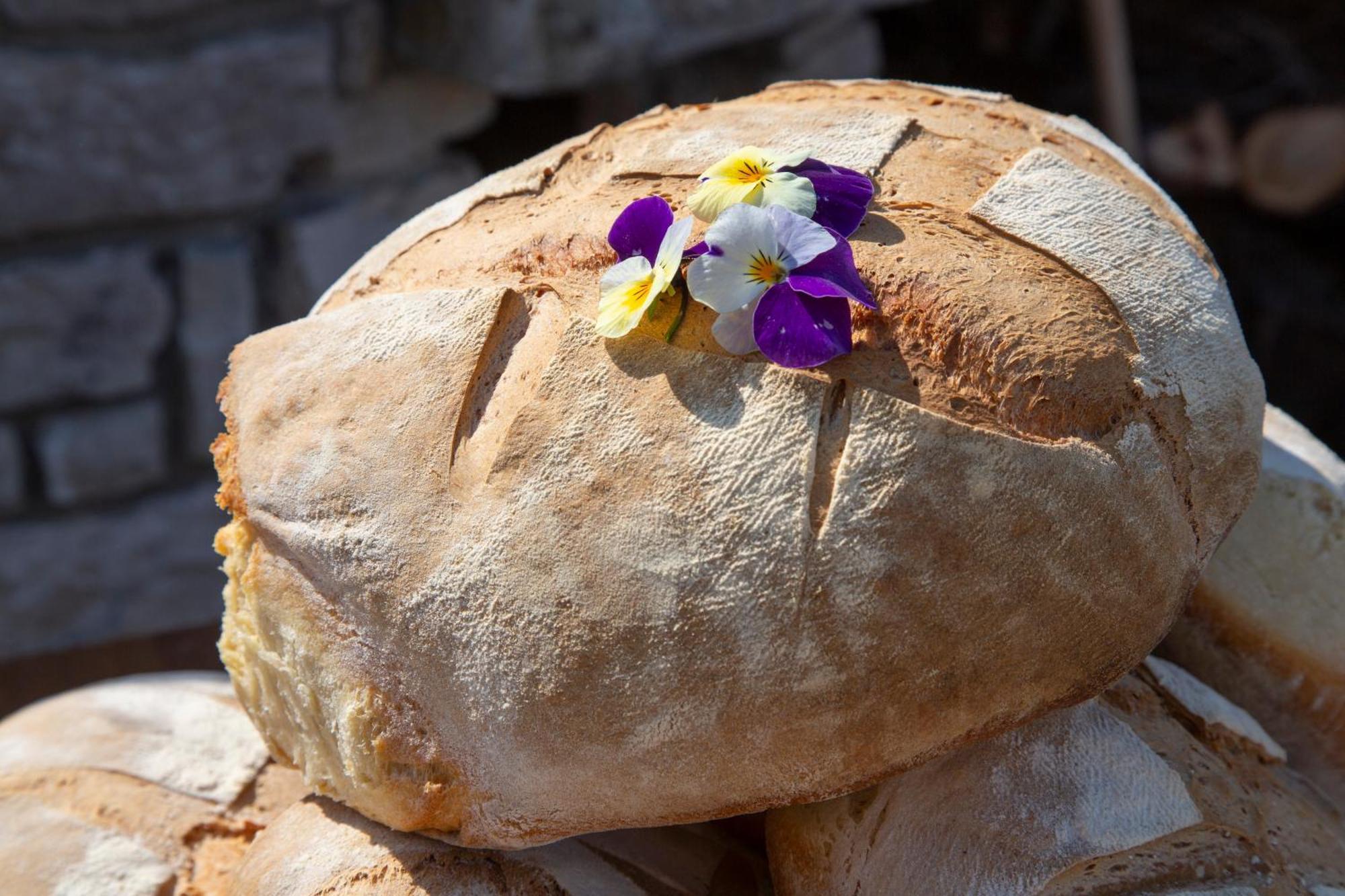 Agriturismo Terra E Sapori Campodipietra Luaran gambar