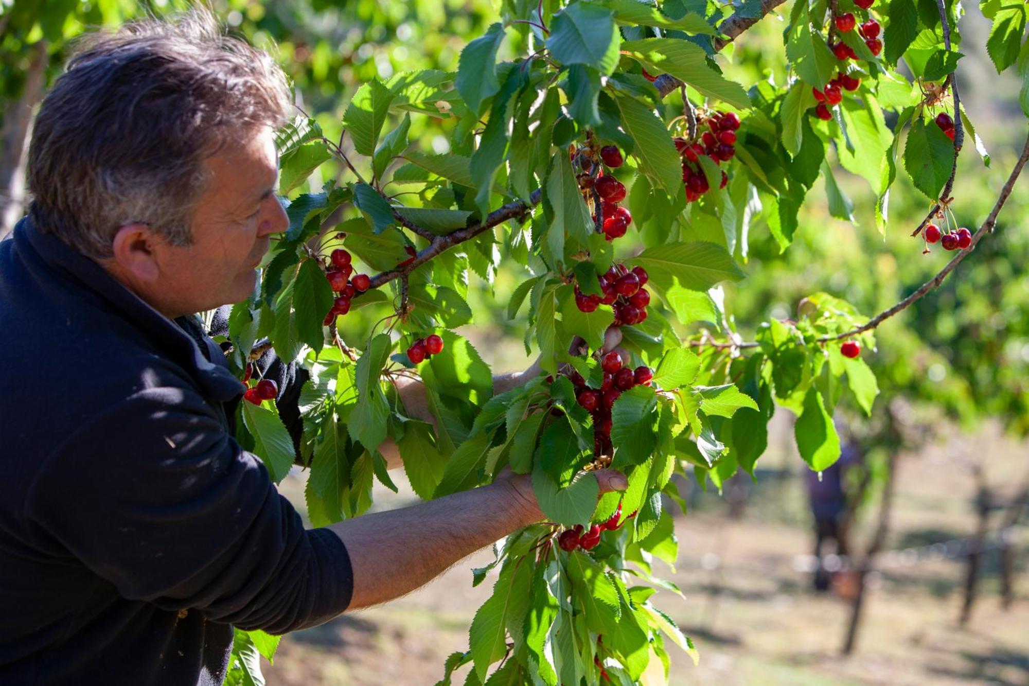 Agriturismo Terra E Sapori Campodipietra Luaran gambar