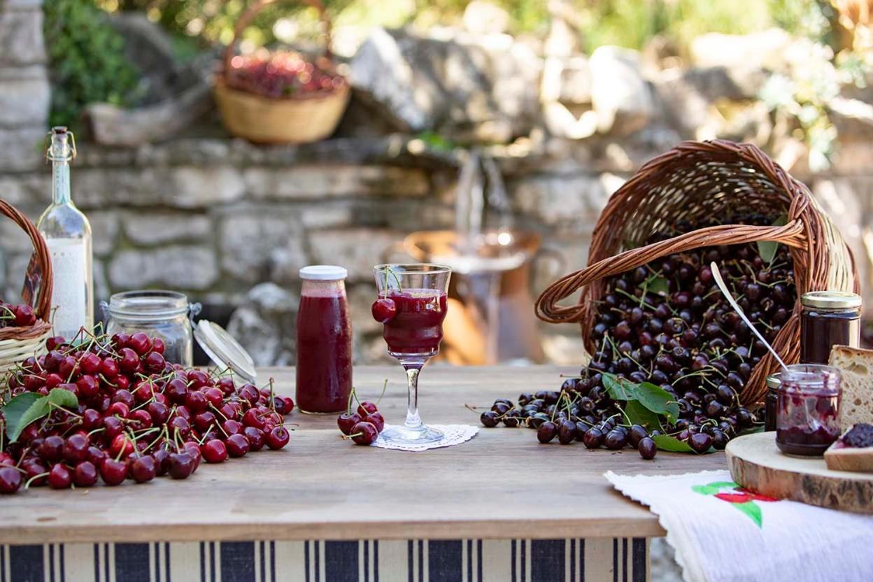 Agriturismo Terra E Sapori Campodipietra Luaran gambar