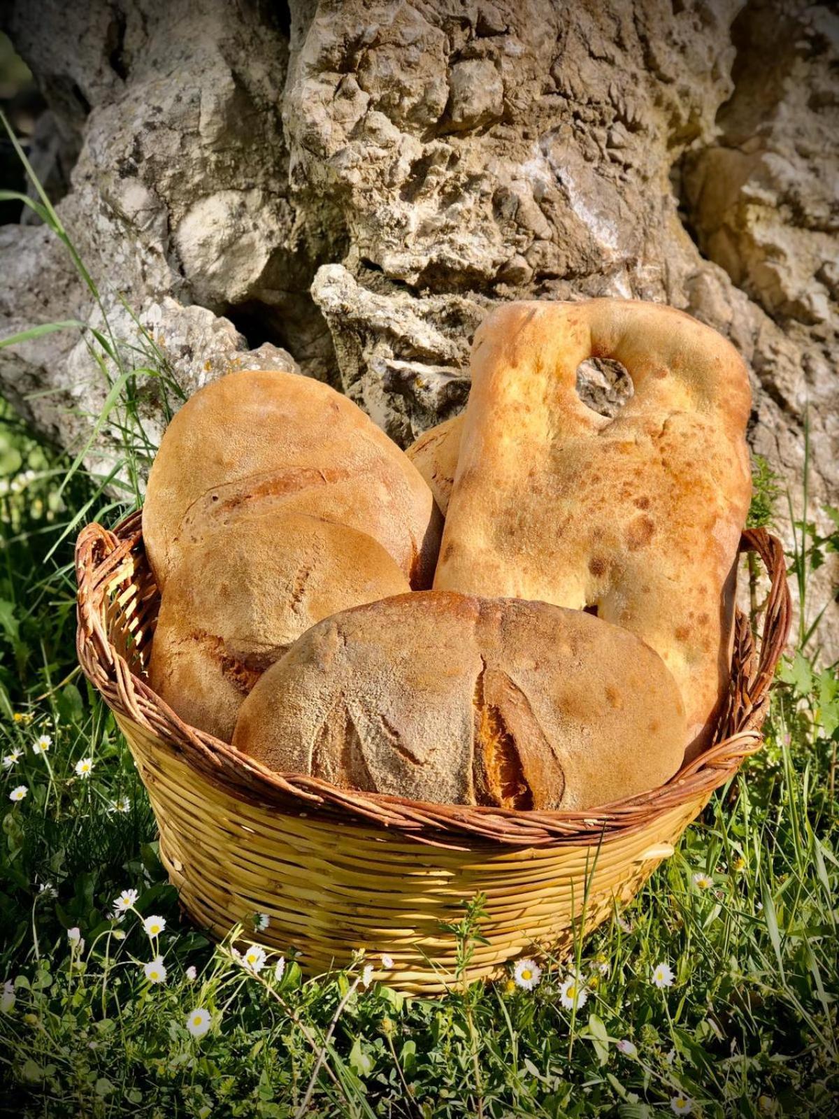 Agriturismo Terra E Sapori Campodipietra Luaran gambar